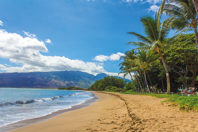 The Story of El Maguey Hawaii: Tradition Meets Taste